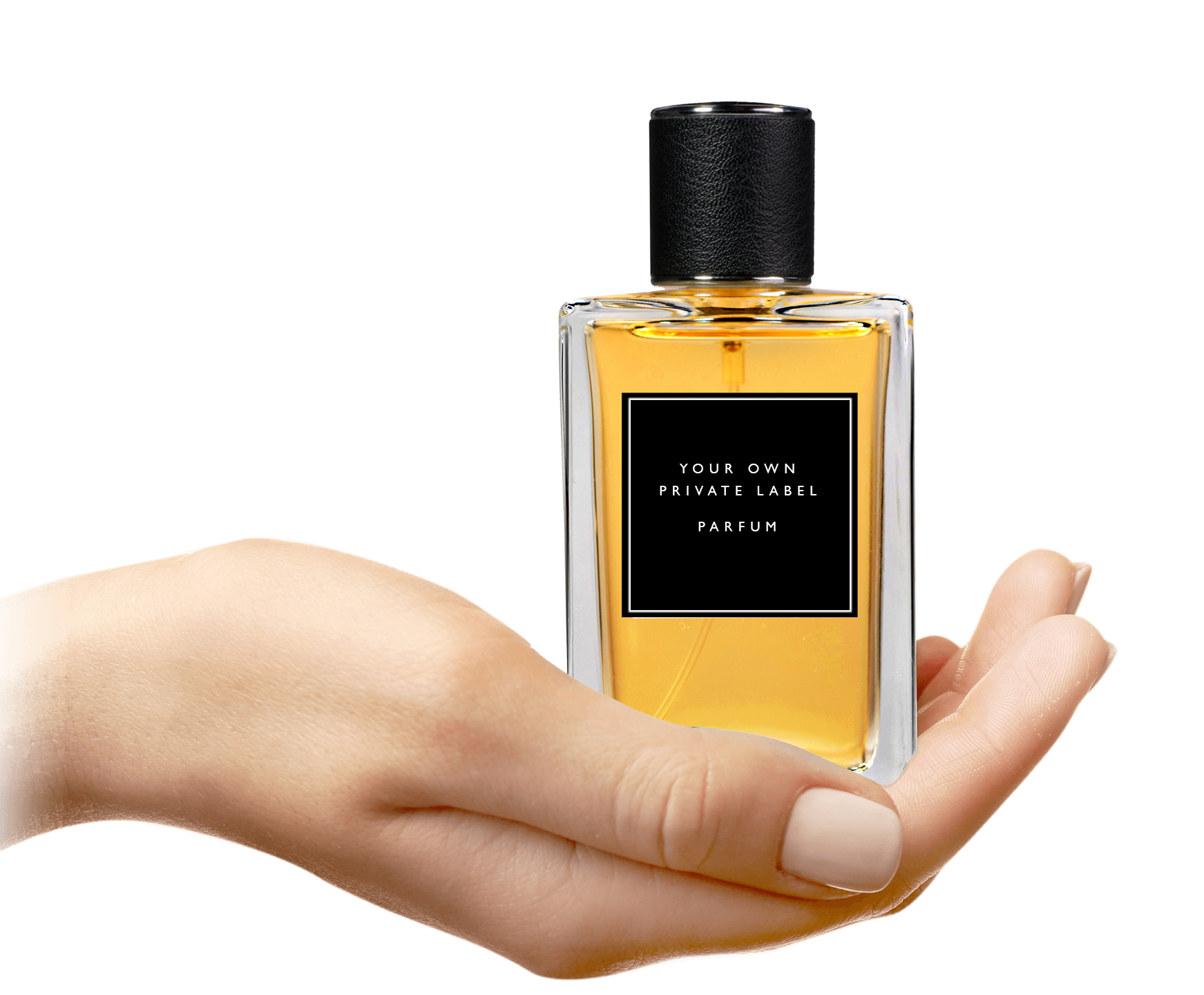 Private label 2024 perfume manufacturers