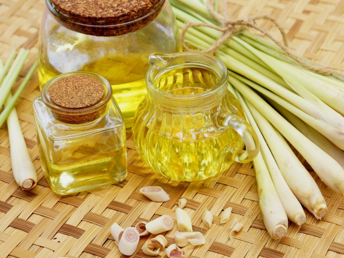 lemongrass oil 1556869480 4887436