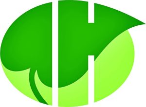 High Quality Hair Oil Manufacturers in Mumbai